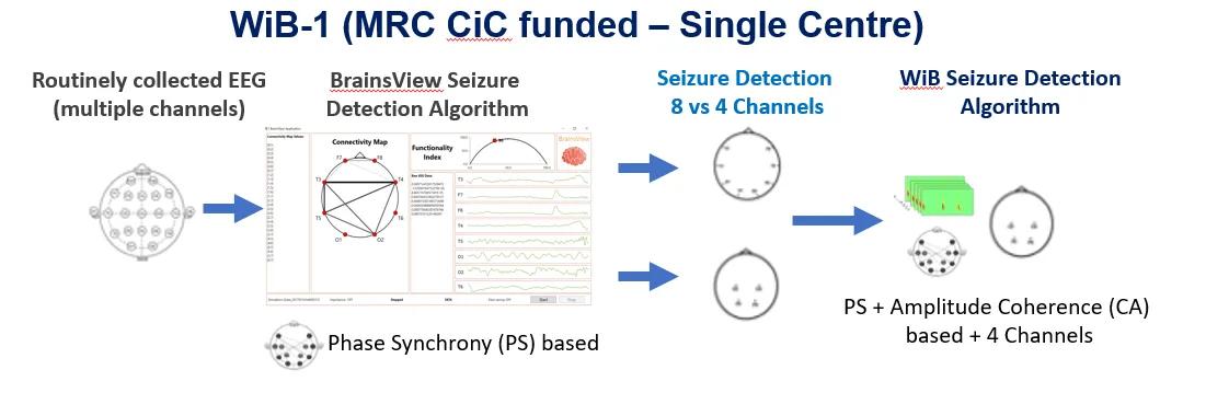 Window in the Brain 1 (CiC Funded)