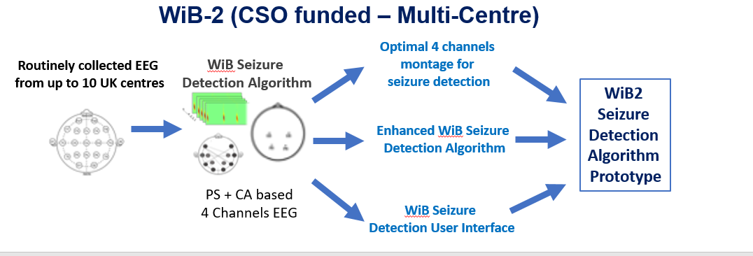 Schematic diagram of the Window in the Brain-2 Project